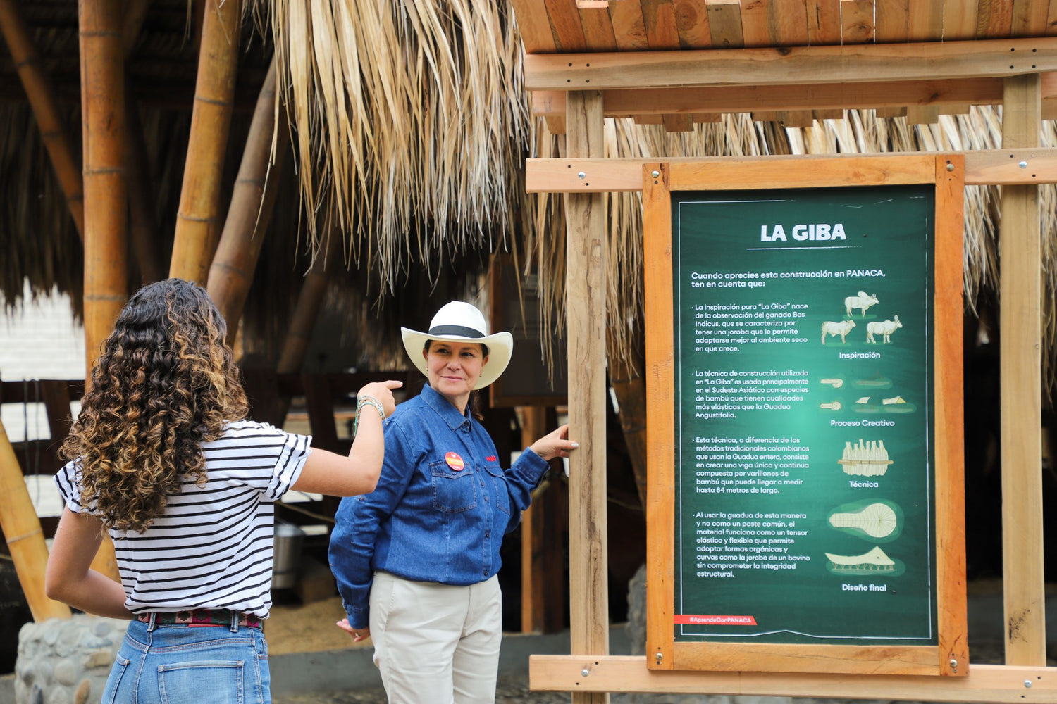 imagenCarruselPAnaca
