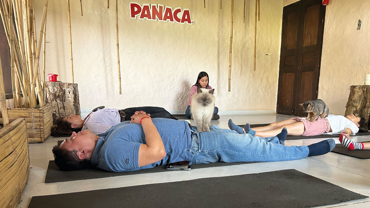 Panaca