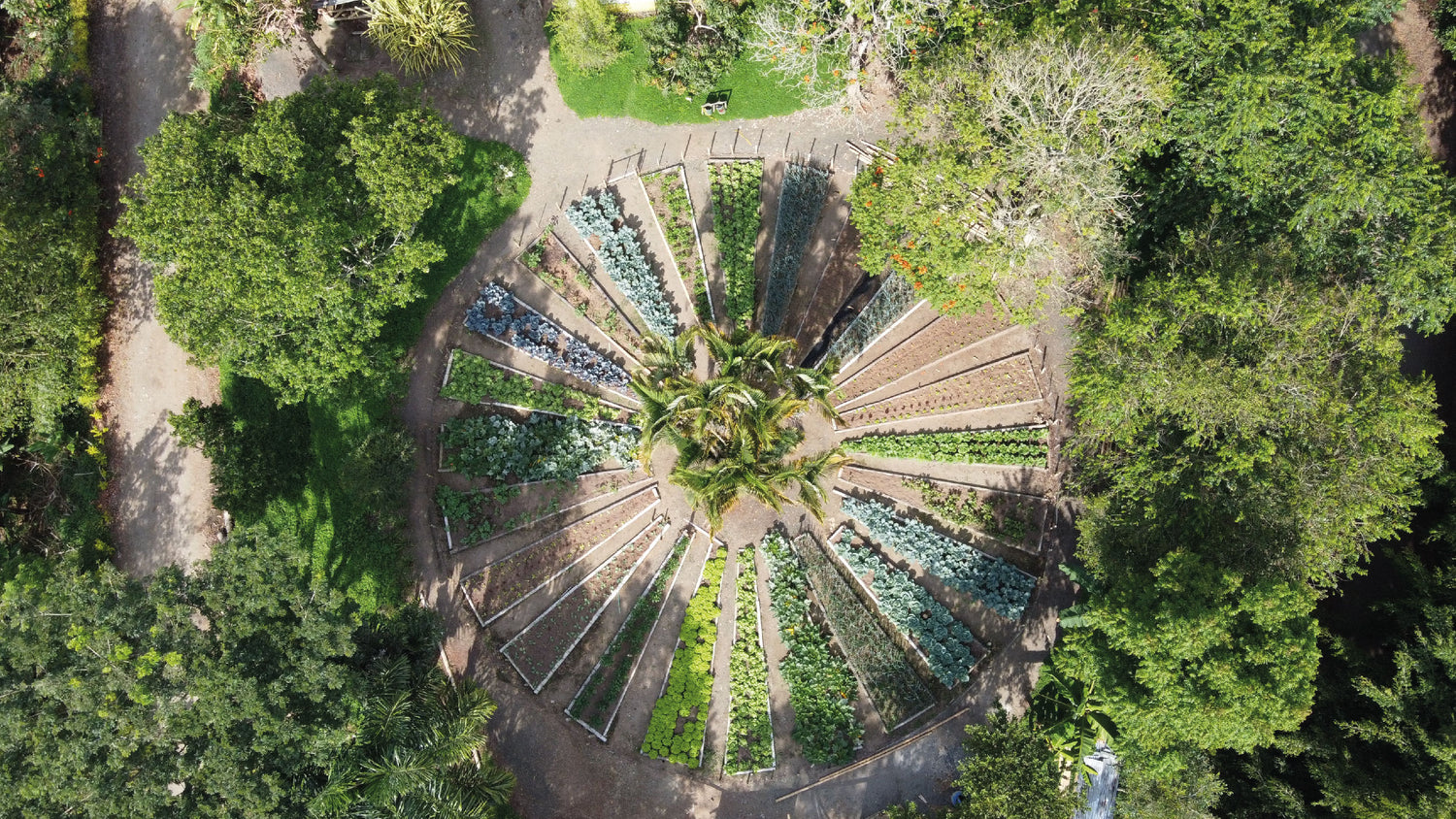 Panaca