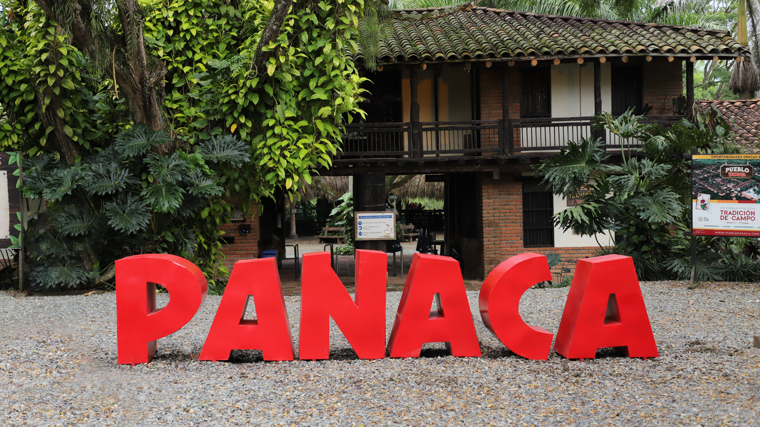 BlogsPanaca