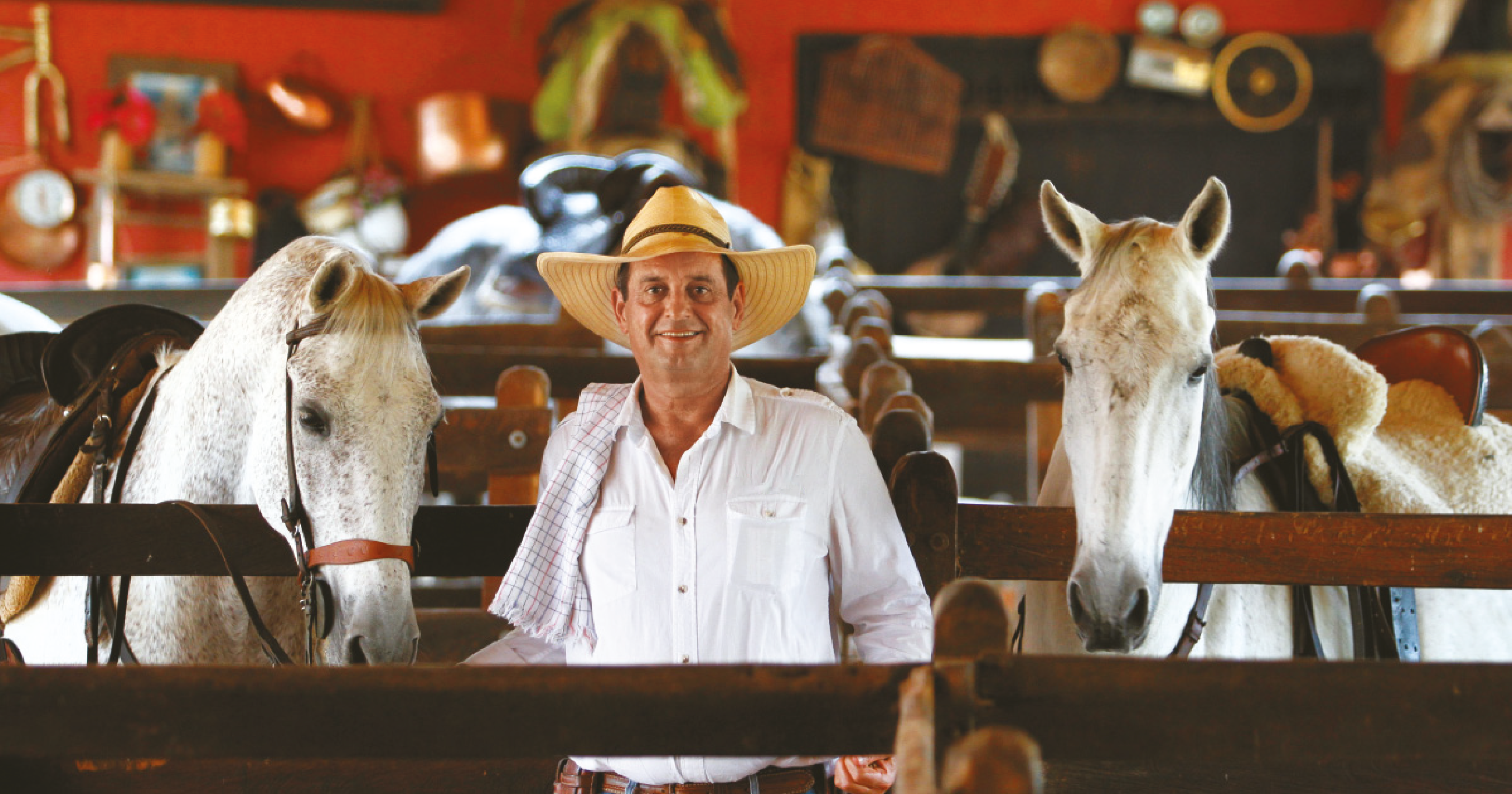 PanacaAnimales