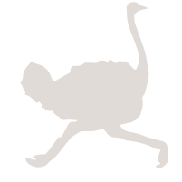 ImagenesPanaca