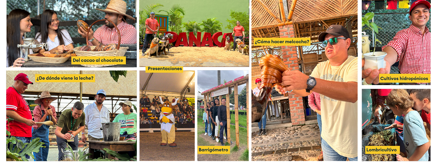 Panaca