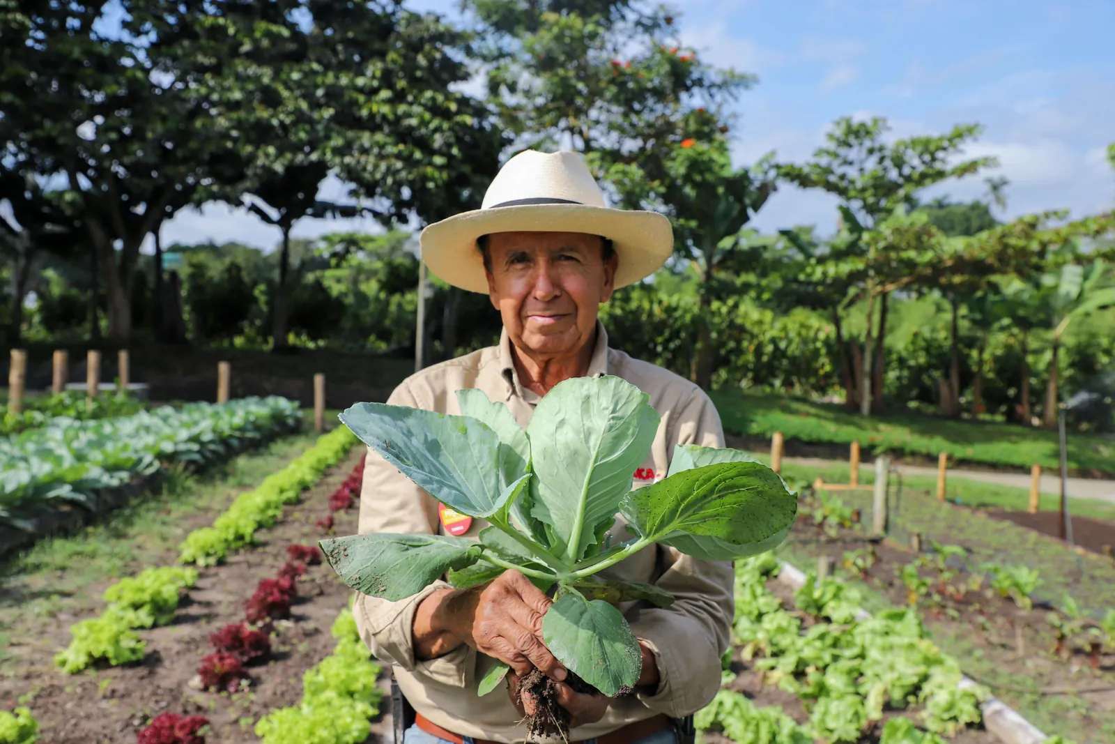 PANACA Agronomy Station