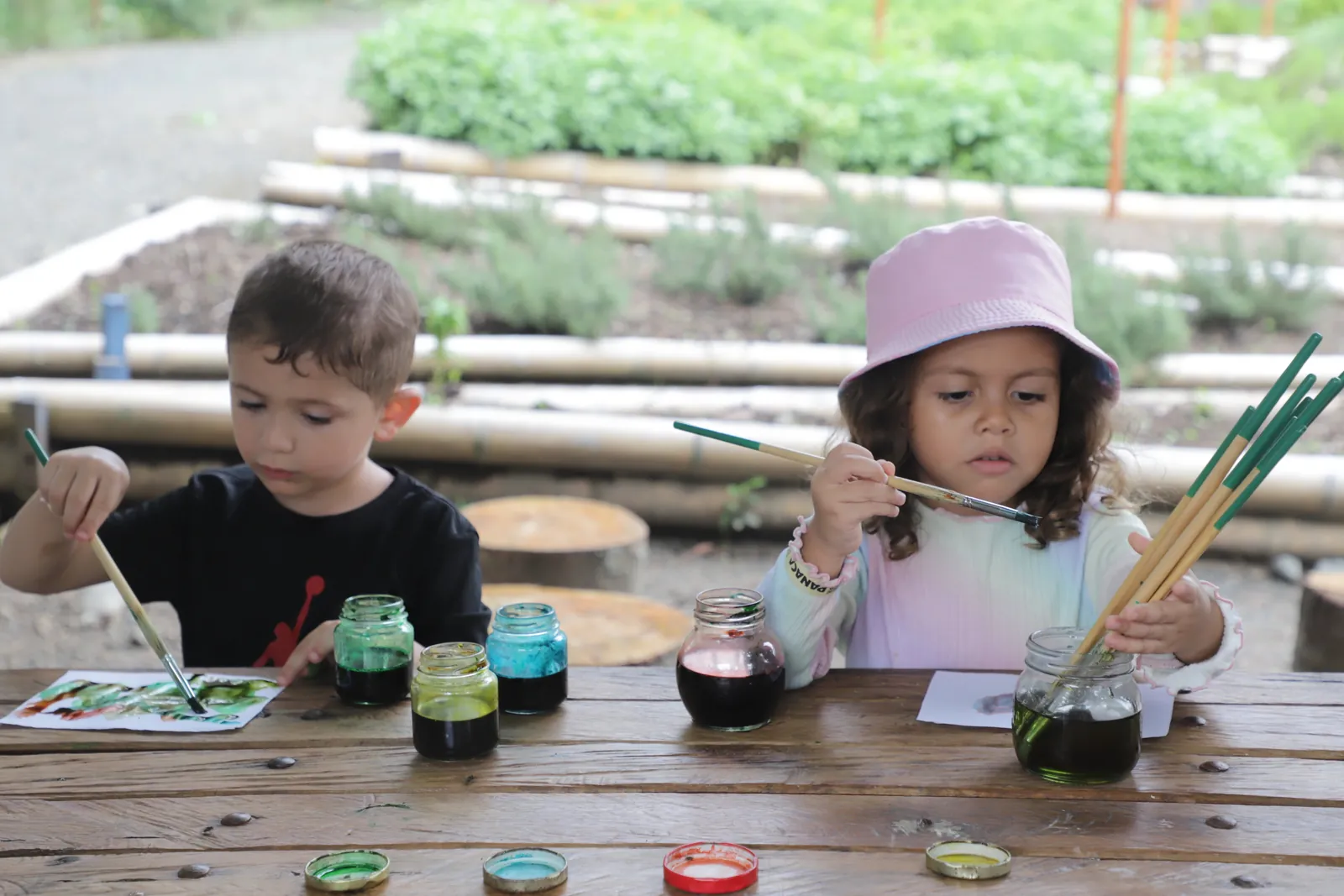 PANACA Origin of Colour Living Classroom