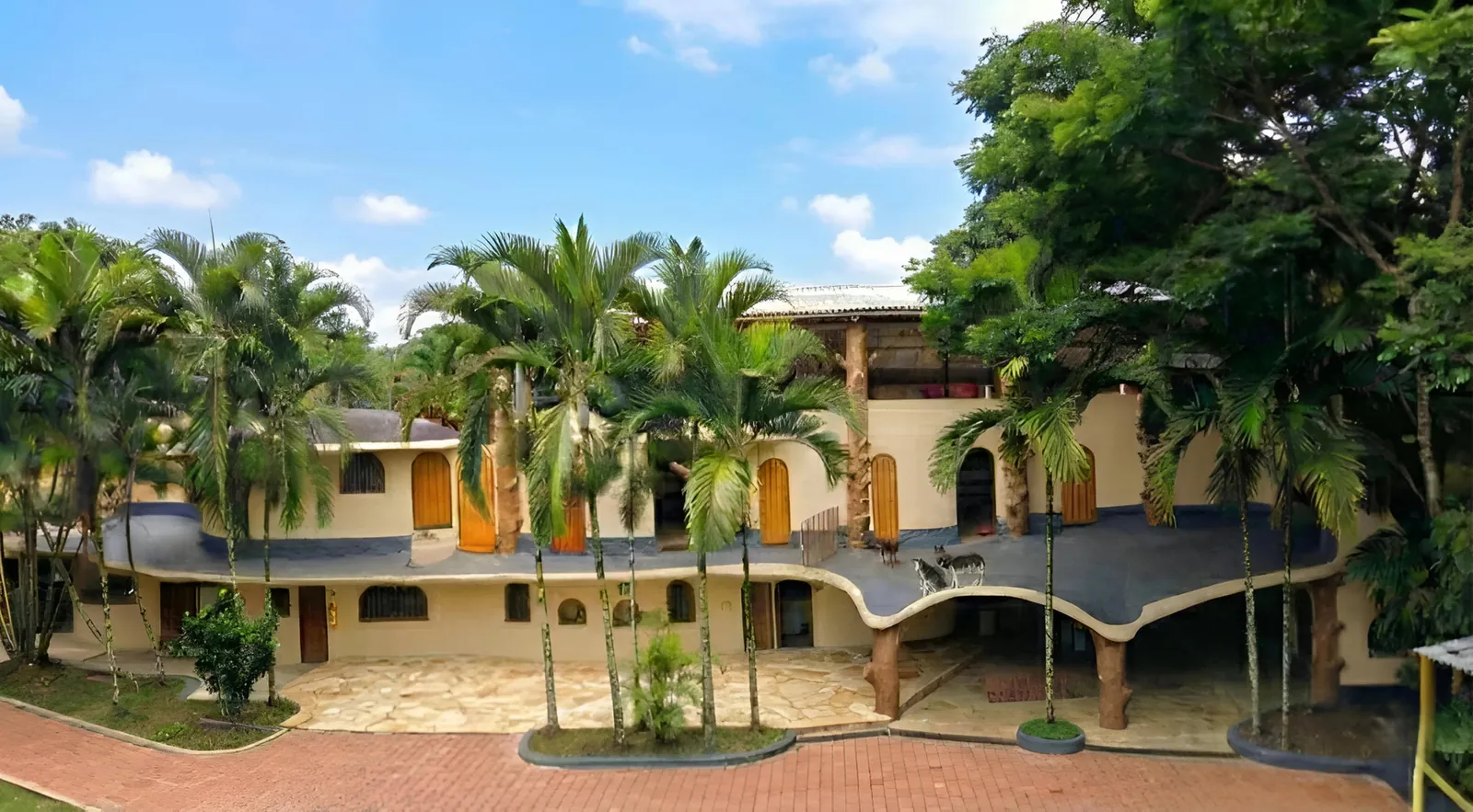 PANACA Canine Station