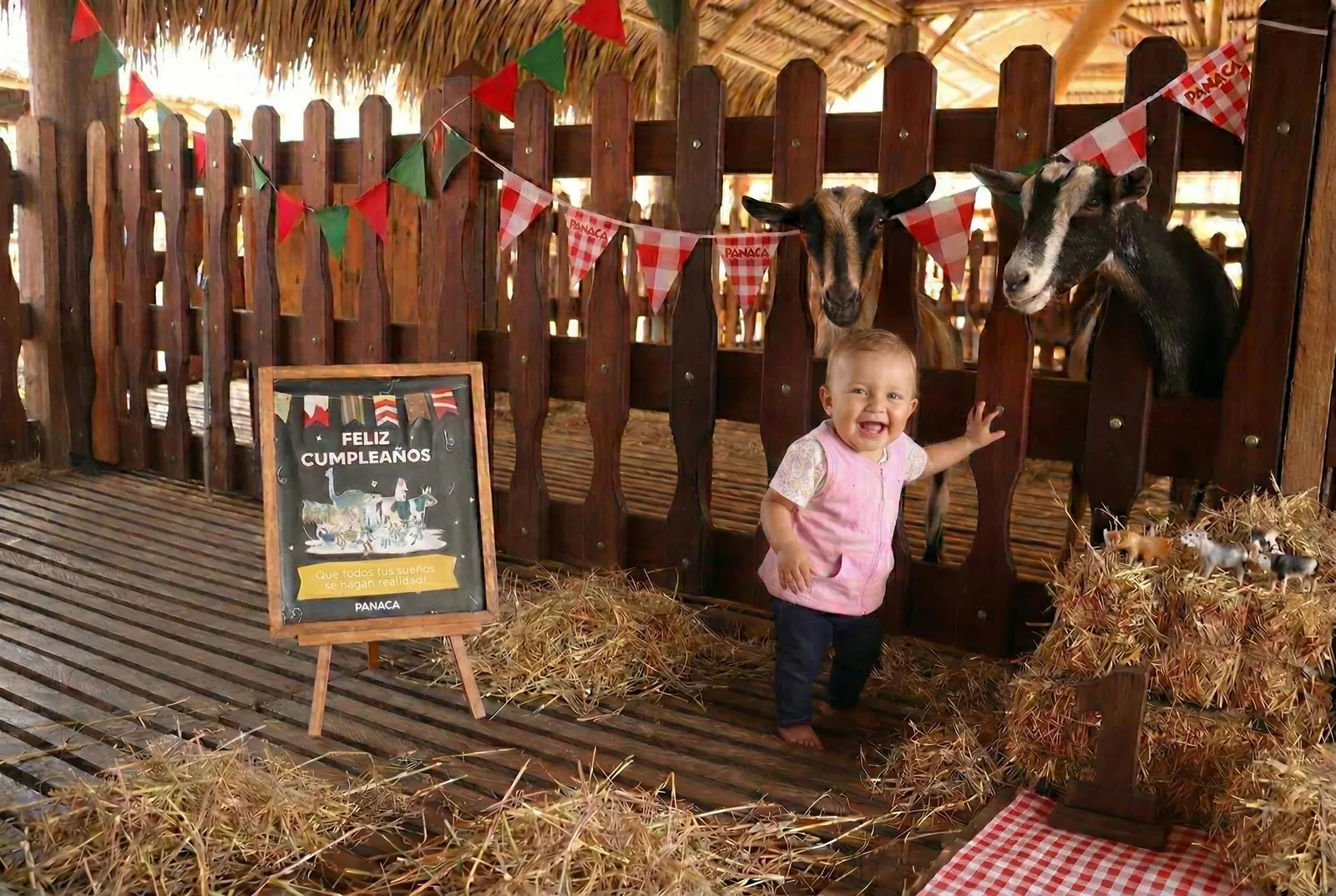 Getting hands-on with animals at PANACA