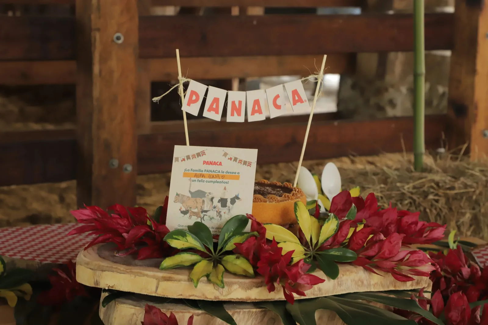 Birthday decorations at PANACA