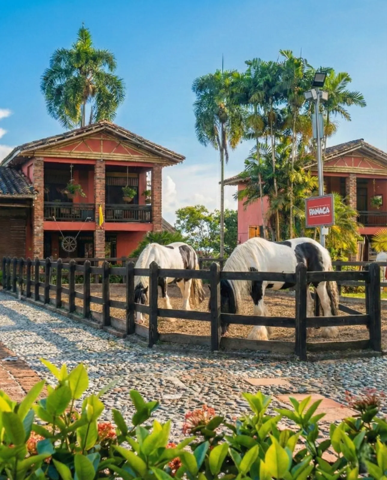 PANACA Equine Station